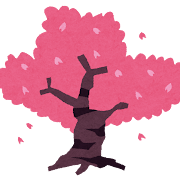 桜.png